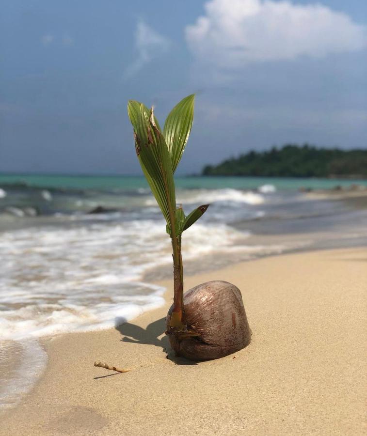ホテル Thai Heritage マーク島 エクステリア 写真